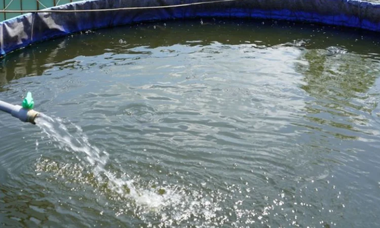 Suhu air kolam, Sumber: kompas.com