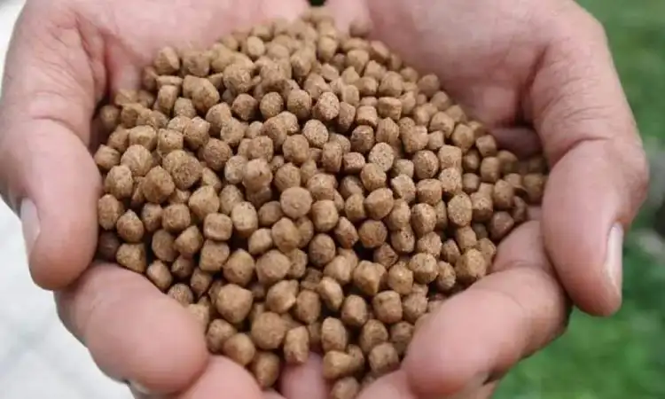 Jenis pakan palet, Sumber: starfarm.co.id