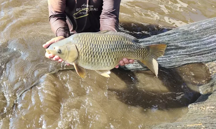 Mas Punten, Sumber: promediateknologi.id