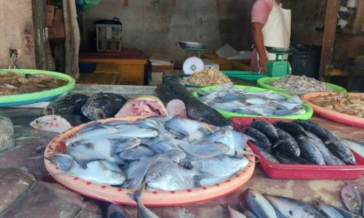 Pemasaran ikan bawal, Sumber: tstatic.net