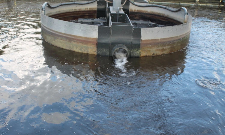 Penerapan budidaya ikan dengan sistem intensif, Sumber: deheus.id