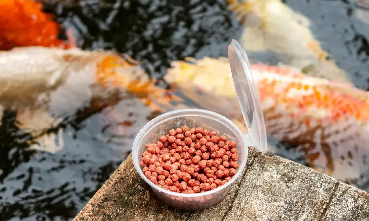 Pakan ikan, Sumber: peekapaw.com.au