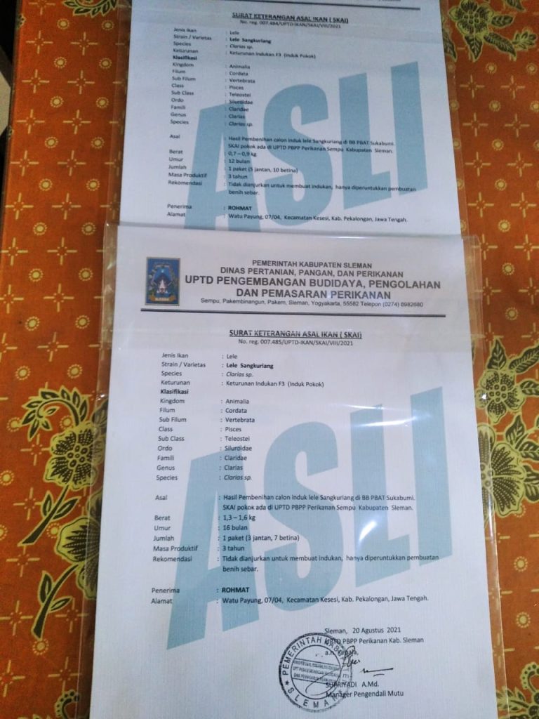 surat keterangan asal ikan